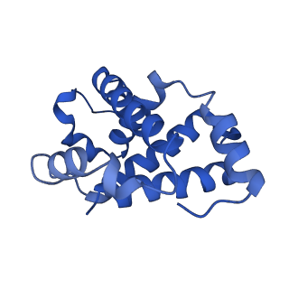 0407_6nbc_B_v1-3
human methemoglobin state 1 determined using single-particle cryo-EM at 200 keV