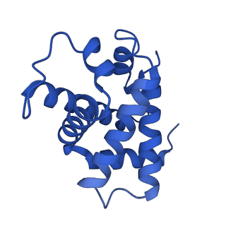 0407_6nbc_C_v1-3
human methemoglobin state 1 determined using single-particle cryo-EM at 200 keV