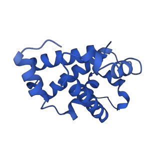 0407_6nbc_D_v1-3
human methemoglobin state 1 determined using single-particle cryo-EM at 200 keV