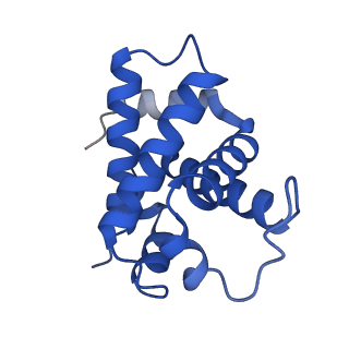 0408_6nbd_A_v1-3
Human methemoglobin state 2 determined using single-particle cryo-EM at 200 keV