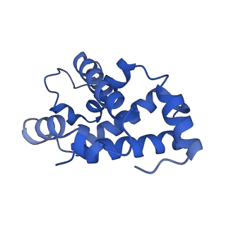 0408_6nbd_B_v1-3
Human methemoglobin state 2 determined using single-particle cryo-EM at 200 keV