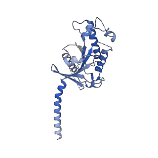 0410_6nbf_A_v1-2
Cryo-EM structure of parathyroid hormone receptor type 1 in complex with a long-acting parathyroid hormone analog and G protein