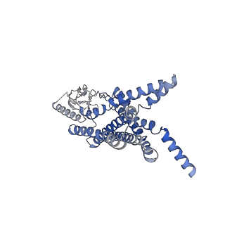 0410_6nbf_R_v1-2
Cryo-EM structure of parathyroid hormone receptor type 1 in complex with a long-acting parathyroid hormone analog and G protein
