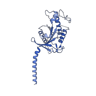 0411_6nbh_A_v1-2
Cryo-EM structure of parathyroid hormone receptor type 1 in complex with a long-acting parathyroid hormone analog and G protein
