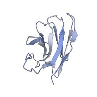 0411_6nbh_N_v1-2
Cryo-EM structure of parathyroid hormone receptor type 1 in complex with a long-acting parathyroid hormone analog and G protein