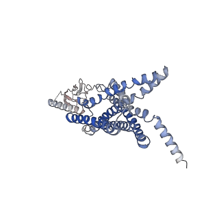 0411_6nbh_R_v1-2
Cryo-EM structure of parathyroid hormone receptor type 1 in complex with a long-acting parathyroid hormone analog and G protein