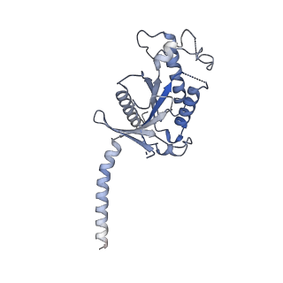 0412_6nbi_A_v1-2
Cryo-EM structure of parathyroid hormone receptor type 1 in complex with a long-acting parathyroid hormone analog and G protein