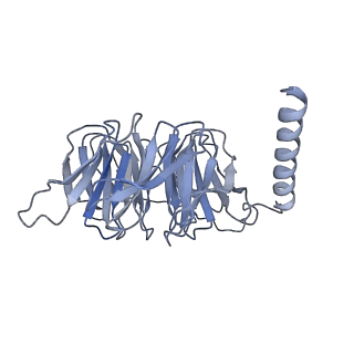 0412_6nbi_B_v1-2
Cryo-EM structure of parathyroid hormone receptor type 1 in complex with a long-acting parathyroid hormone analog and G protein