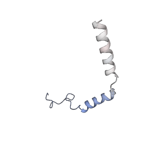 0412_6nbi_G_v1-2
Cryo-EM structure of parathyroid hormone receptor type 1 in complex with a long-acting parathyroid hormone analog and G protein