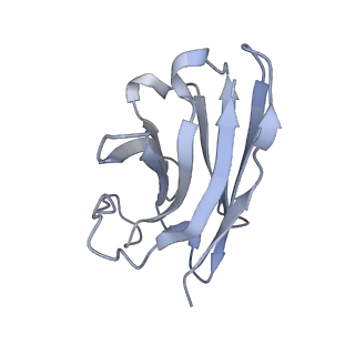0412_6nbi_N_v1-2
Cryo-EM structure of parathyroid hormone receptor type 1 in complex with a long-acting parathyroid hormone analog and G protein