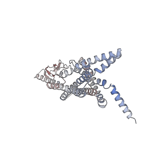 0412_6nbi_R_v1-2
Cryo-EM structure of parathyroid hormone receptor type 1 in complex with a long-acting parathyroid hormone analog and G protein