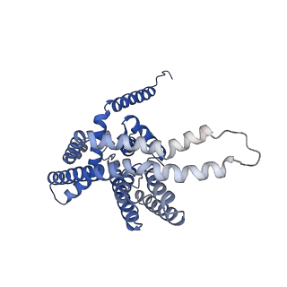 12256_7nb6_A_v1-2
Structure of the autoinducer-2 exporter TqsA from E. coli