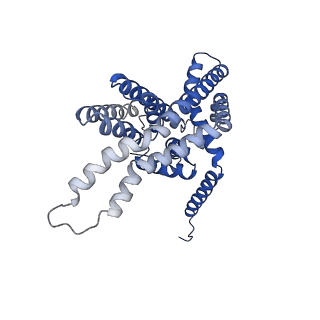 12256_7nb6_C_v1-2
Structure of the autoinducer-2 exporter TqsA from E. coli