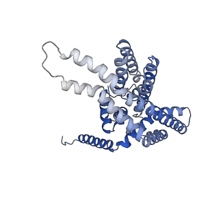 12256_7nb6_D_v1-2
Structure of the autoinducer-2 exporter TqsA from E. coli
