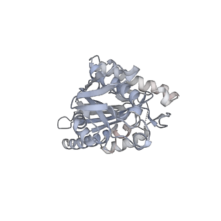 12257_7nb8_K_v1-1
Plasmodium falciparum kinesin-5 motor domain without nucleotide, complexed with 14 protofilament microtubule.