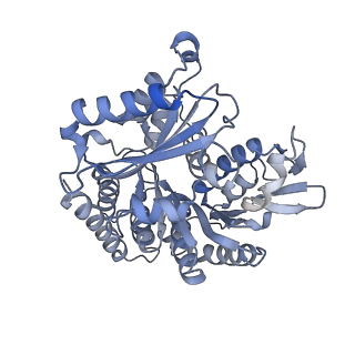 12258_7nba_B_v1-1
Plasmodium falciparum kinesin-5 motor domain bound to AMPPNP, complexed with 14 protofilament microtubule.
