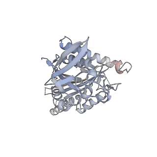 12258_7nba_K_v1-1
Plasmodium falciparum kinesin-5 motor domain bound to AMPPNP, complexed with 14 protofilament microtubule.