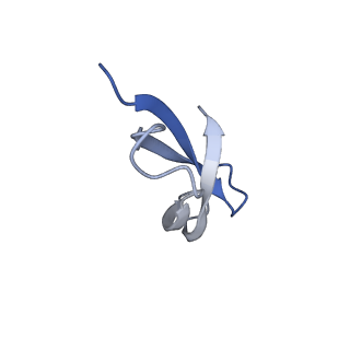 12261_7nbu_0_v2-1
Structure of the HigB1 toxin mutant K95A from Mycobacterium tuberculosis (Rv1955) and its target, the cspA mRNA, on the E. coli Ribosome.