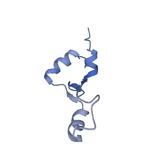 12261_7nbu_2_v1-1
Structure of the HigB1 toxin mutant K95A from Mycobacterium tuberculosis (Rv1955) and its target, the cspA mRNA, on the E. coli Ribosome.
