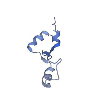 12261_7nbu_2_v2-0
Structure of the HigB1 toxin mutant K95A from Mycobacterium tuberculosis (Rv1955) and its target, the cspA mRNA, on the E. coli Ribosome.