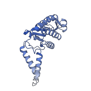 12261_7nbu_B_v1-1
Structure of the HigB1 toxin mutant K95A from Mycobacterium tuberculosis (Rv1955) and its target, the cspA mRNA, on the E. coli Ribosome.
