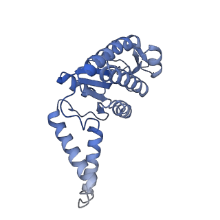 12261_7nbu_B_v2-1
Structure of the HigB1 toxin mutant K95A from Mycobacterium tuberculosis (Rv1955) and its target, the cspA mRNA, on the E. coli Ribosome.