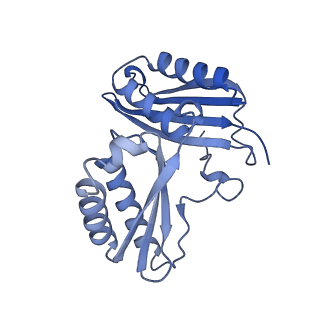 12261_7nbu_C_v1-1
Structure of the HigB1 toxin mutant K95A from Mycobacterium tuberculosis (Rv1955) and its target, the cspA mRNA, on the E. coli Ribosome.