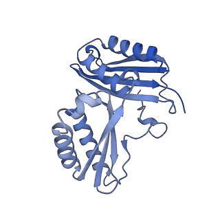 12261_7nbu_C_v2-1
Structure of the HigB1 toxin mutant K95A from Mycobacterium tuberculosis (Rv1955) and its target, the cspA mRNA, on the E. coli Ribosome.