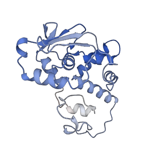 12261_7nbu_D_v1-1
Structure of the HigB1 toxin mutant K95A from Mycobacterium tuberculosis (Rv1955) and its target, the cspA mRNA, on the E. coli Ribosome.