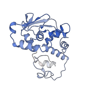 12261_7nbu_D_v2-1
Structure of the HigB1 toxin mutant K95A from Mycobacterium tuberculosis (Rv1955) and its target, the cspA mRNA, on the E. coli Ribosome.