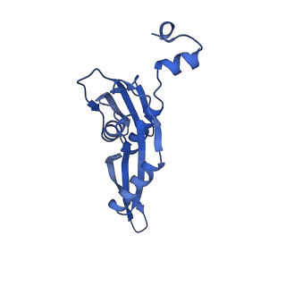 12261_7nbu_E_v1-1
Structure of the HigB1 toxin mutant K95A from Mycobacterium tuberculosis (Rv1955) and its target, the cspA mRNA, on the E. coli Ribosome.