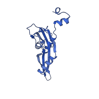 12261_7nbu_E_v2-0
Structure of the HigB1 toxin mutant K95A from Mycobacterium tuberculosis (Rv1955) and its target, the cspA mRNA, on the E. coli Ribosome.