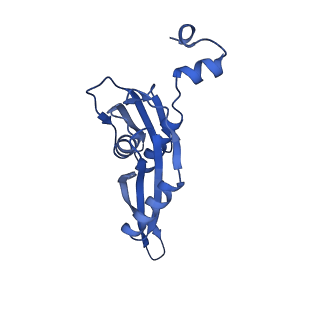 12261_7nbu_E_v2-1
Structure of the HigB1 toxin mutant K95A from Mycobacterium tuberculosis (Rv1955) and its target, the cspA mRNA, on the E. coli Ribosome.