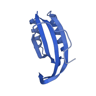 12261_7nbu_F_v2-1
Structure of the HigB1 toxin mutant K95A from Mycobacterium tuberculosis (Rv1955) and its target, the cspA mRNA, on the E. coli Ribosome.