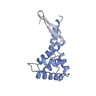 12261_7nbu_G_v1-1
Structure of the HigB1 toxin mutant K95A from Mycobacterium tuberculosis (Rv1955) and its target, the cspA mRNA, on the E. coli Ribosome.