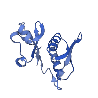 12261_7nbu_H_v1-1
Structure of the HigB1 toxin mutant K95A from Mycobacterium tuberculosis (Rv1955) and its target, the cspA mRNA, on the E. coli Ribosome.