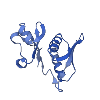 12261_7nbu_H_v2-1
Structure of the HigB1 toxin mutant K95A from Mycobacterium tuberculosis (Rv1955) and its target, the cspA mRNA, on the E. coli Ribosome.