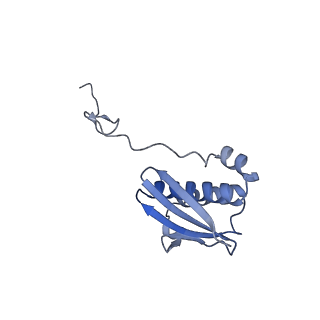 12261_7nbu_I_v1-1
Structure of the HigB1 toxin mutant K95A from Mycobacterium tuberculosis (Rv1955) and its target, the cspA mRNA, on the E. coli Ribosome.