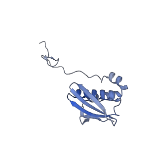 12261_7nbu_I_v2-1
Structure of the HigB1 toxin mutant K95A from Mycobacterium tuberculosis (Rv1955) and its target, the cspA mRNA, on the E. coli Ribosome.