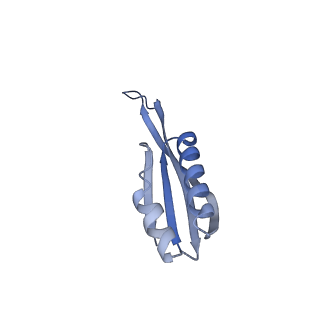 12261_7nbu_J_v2-1
Structure of the HigB1 toxin mutant K95A from Mycobacterium tuberculosis (Rv1955) and its target, the cspA mRNA, on the E. coli Ribosome.