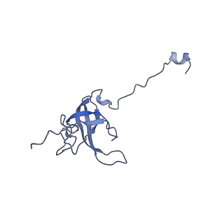 12261_7nbu_L_v1-1
Structure of the HigB1 toxin mutant K95A from Mycobacterium tuberculosis (Rv1955) and its target, the cspA mRNA, on the E. coli Ribosome.