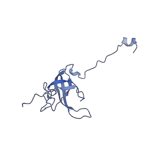 12261_7nbu_L_v2-1
Structure of the HigB1 toxin mutant K95A from Mycobacterium tuberculosis (Rv1955) and its target, the cspA mRNA, on the E. coli Ribosome.