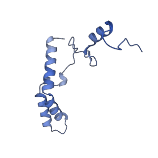 12261_7nbu_N_v1-1
Structure of the HigB1 toxin mutant K95A from Mycobacterium tuberculosis (Rv1955) and its target, the cspA mRNA, on the E. coli Ribosome.