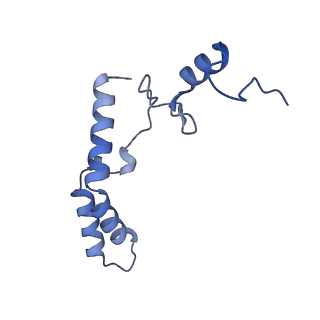 12261_7nbu_N_v2-1
Structure of the HigB1 toxin mutant K95A from Mycobacterium tuberculosis (Rv1955) and its target, the cspA mRNA, on the E. coli Ribosome.