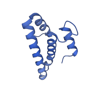 12261_7nbu_O_v1-1
Structure of the HigB1 toxin mutant K95A from Mycobacterium tuberculosis (Rv1955) and its target, the cspA mRNA, on the E. coli Ribosome.