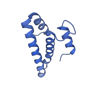 12261_7nbu_O_v2-1
Structure of the HigB1 toxin mutant K95A from Mycobacterium tuberculosis (Rv1955) and its target, the cspA mRNA, on the E. coli Ribosome.