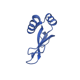 12261_7nbu_P_v2-1
Structure of the HigB1 toxin mutant K95A from Mycobacterium tuberculosis (Rv1955) and its target, the cspA mRNA, on the E. coli Ribosome.