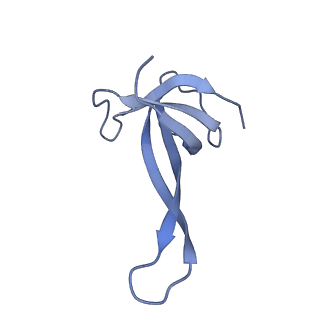 12261_7nbu_Q_v2-1
Structure of the HigB1 toxin mutant K95A from Mycobacterium tuberculosis (Rv1955) and its target, the cspA mRNA, on the E. coli Ribosome.