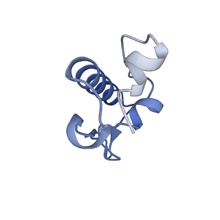 12261_7nbu_R_v2-1
Structure of the HigB1 toxin mutant K95A from Mycobacterium tuberculosis (Rv1955) and its target, the cspA mRNA, on the E. coli Ribosome.