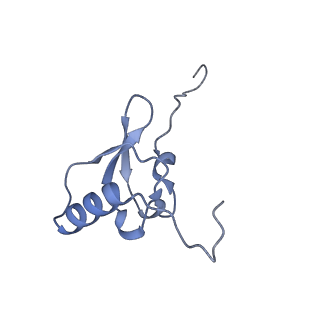 12261_7nbu_S_v1-1
Structure of the HigB1 toxin mutant K95A from Mycobacterium tuberculosis (Rv1955) and its target, the cspA mRNA, on the E. coli Ribosome.